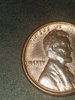 20190218_034944.jpg