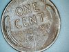 1955 back no america.jpg