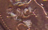 2004-DIE2.jpg