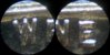 we merged-small.jpg