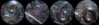 1960 merged-small.jpg