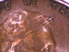 1953 Halo.jpg