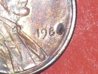 1971,1955,1986 011.jpg