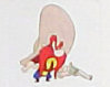 sam1icon1.jpg