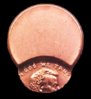 off center cent.jpg