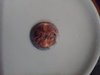 IMG_20190303_161750.jpg
