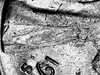 Thu Mar 07 11-10-57.jpg