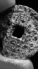 9430640D-B4C1-4E9F-BE47-7578BD2CED4B.png