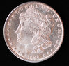 Morgan1888s0057.jpg