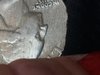IMG_20190316_163537.jpg