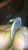 10EC6238-A56C-4EB0-8DD5-5D9653BBD670.jpeg