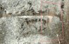2010-D  CU Mouth obv-lines added.JPG