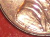 2010-1.jpg