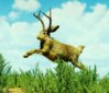 ubuntu-904-jackalope.jpg