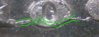 93958d1282674440-cpm_1884cc_v3_obv_date_-1.jpg