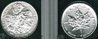 bullion%20silver%202%20001-crop.jpg