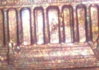 lincoln re1.jpg