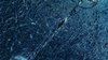 WIN_20190326_19_27_35_Pro.jpg