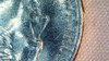 WIN_20190326_19_25_30_Pro.jpg