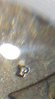 IMG_2019-03-29_15-56-08.jpg