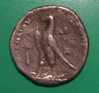 Ptolemy Reverse.jpg