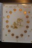 IMG_6236.jpeg