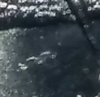 20190330_151246-1.jpg