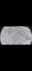 ECE46328-E4A1-491F-8F40-F673CD3CFFCA.png