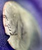 IMG_20190401_175310.jpg