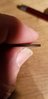 20190407_111140.jpg