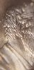 20190408_011906.jpg