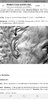 Screenshot_20190408-022420_Samsung Internet.jpg