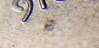 20190408_082401.jpg
