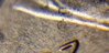 20190408_082412.jpg