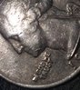 20190412_011640.jpg