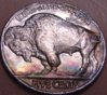 1937 Buffalo Nickel -r.jpg