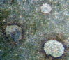 SS859114-1.JPG