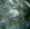 SS859112.JPG