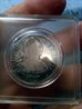 1792-2-Reale-Adjusted.jpg