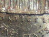 nickle1.jpg