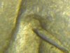 morgan dollar eyelid.JPG