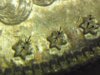 1882-S Morgan clost stars 123.JPG