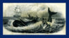 whale.jpg