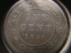Cancoins-2.jpg