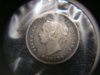 Cancoins-3.JPG