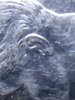 20190415_162425.jpg