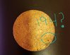 20190424_165218.jpg
