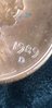20190430_144245.jpg