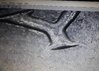 20190501_014946.jpg