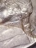 20190501_073749.jpg